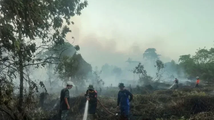 Forest and Land Fires in West Kotawaringin Reach 160 Incidents