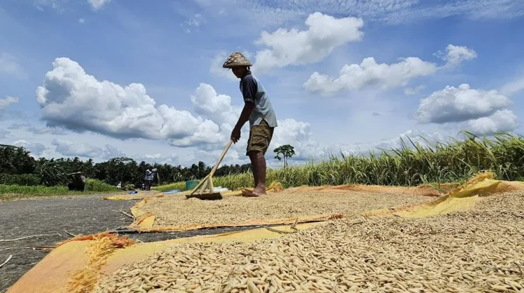 Dutch Envoy Highlights Food Security as Cornerstone of Bilateral Ties