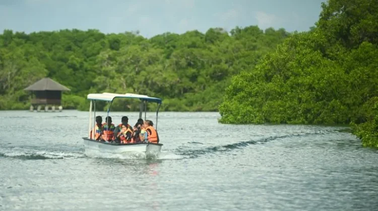 Global Experts at CAITEC 2026 Tackle Climate & Ecotourism