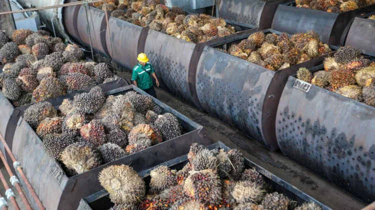 Pakistan Seeks to Strengthen Economic Cooperation with Indonesia