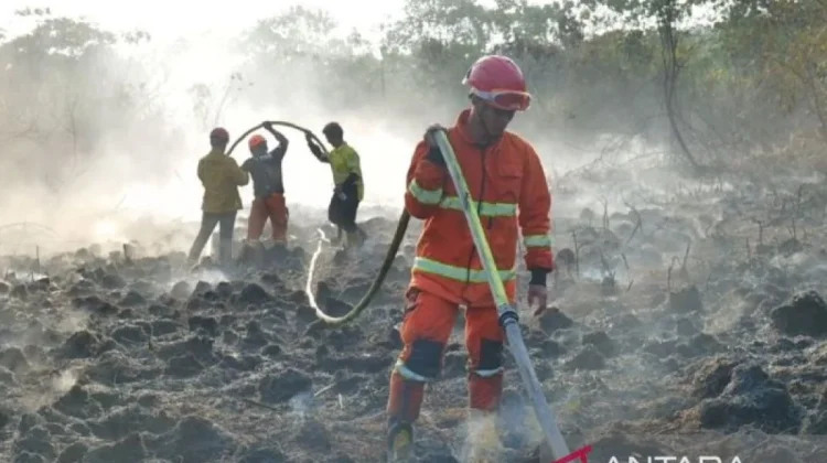 East Kalimantan Uses Carbon Funding to Strengthen Forest-Fire Mitigation