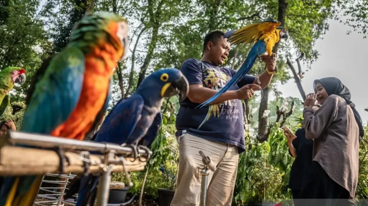 Flora and Fauna Festival 2026 to Showcase Six Eco-Regions in Jakarta