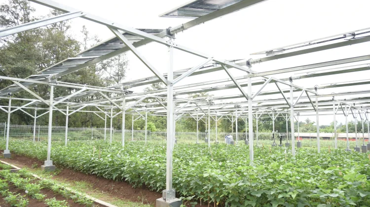 Taiwan Sees Smart Agriculture Cooperation Opportunity with Indonesia