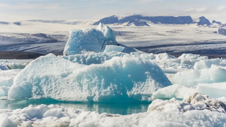 BRIN and Ukraine Sign Agreement on Antarctic and Tropical Research