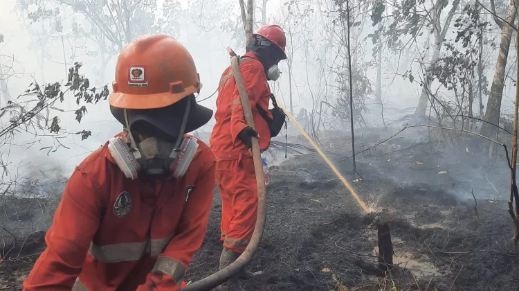 Indonesia's Nationwide Hotspot Decline Signals Progress, But Fire Risks Persist