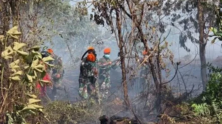 Indonesian Govt Responds to Cross-Border Impact of Kalimantan Fires
