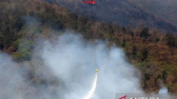 Forest Fire Threatens Mount Arjuno-Welirang Ecosystem