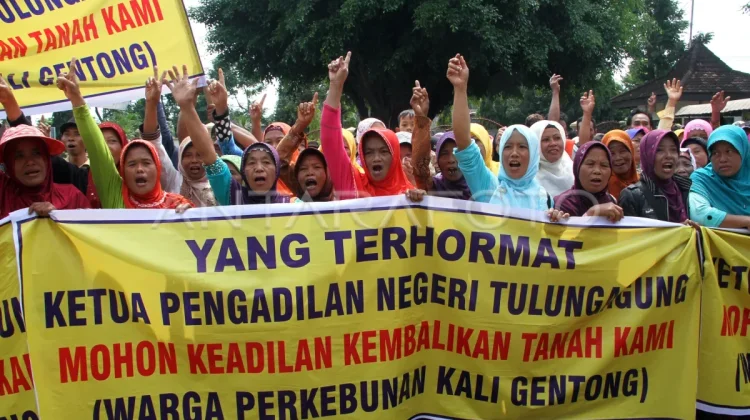 Ombudsman Sees Persistent Complaints Over Agrarian Governance