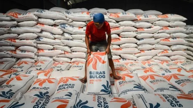 Agricultural Sector Strengthens as Indonesia Pursues Rice Exports