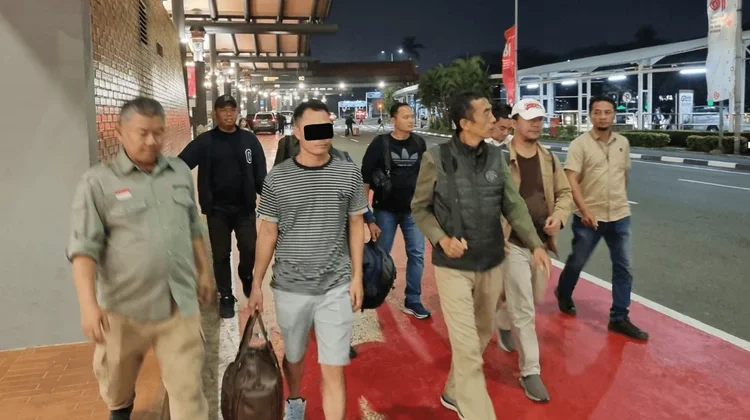 Indonesia Targets International Wildlife Crime After Pangolin Seizure