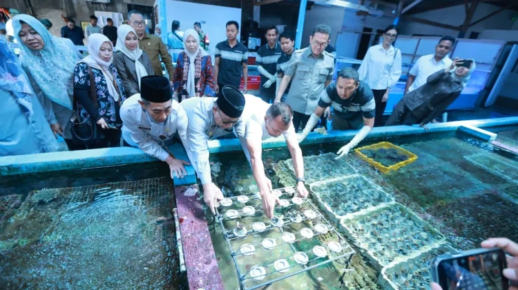 Banyuwangi Coral Goes Global, Reaching Markets in 20 Countries