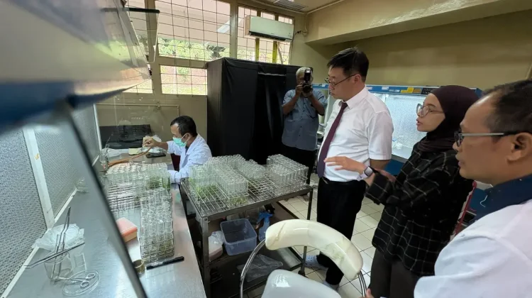 BRIN-China’s HUCM Explore Traditional Medicine Research Partnership