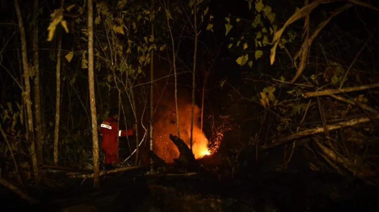 Japan Deploys CH-47 Helicopters to Aid Indonesia’s Forest Fire Response