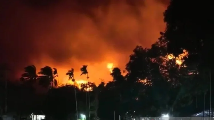 BNPB Tackles West Papua Fires as Burned Area Hits 2,496 Hectares