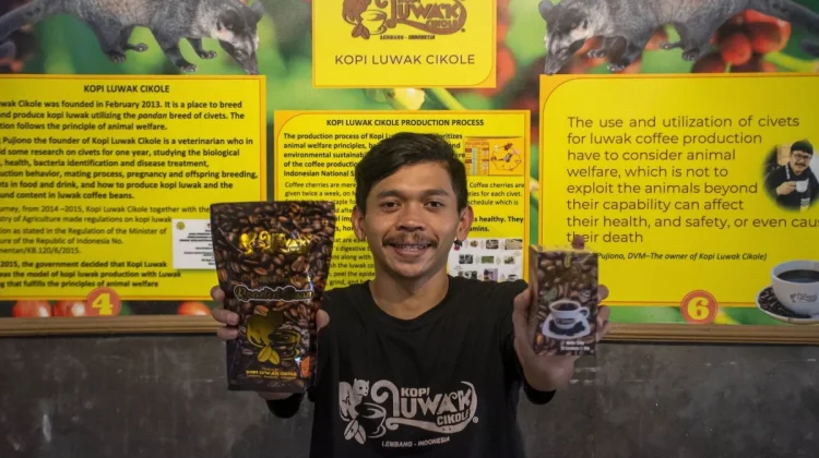 Lembang Arabica Coffee Makes First Export to Saudi Arabia