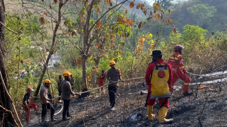 Six New Wildfires Highlight Indonesia’s Dry Season Vulnerabilities