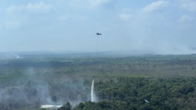 Indonesia Deploys Air, Ground Forces to Fight Wildfires