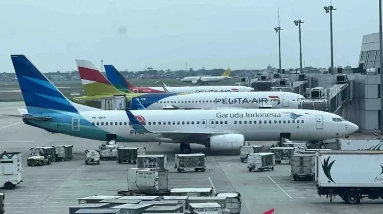Ministry Announces Indonesia's Bid for ICAO Council Seat
