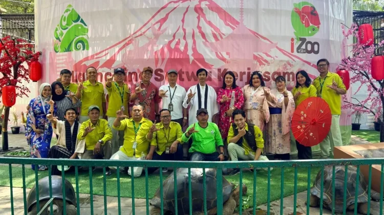 Surabaya Zoo Welcomes Four Giant Aldabra Tortoises from Japan