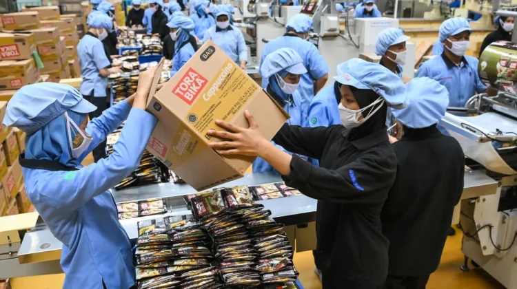 Indonesia’s Manufacturing PMI Declines to 49.8 in August 2026