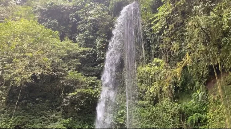 Pipa Belanda Waterfall Blends Nature and Colonial History in Bengkulu
