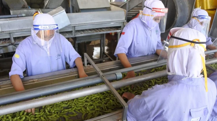 Indonesia Offers 35 Percent Subsidy for F&B Machinery Upgrades