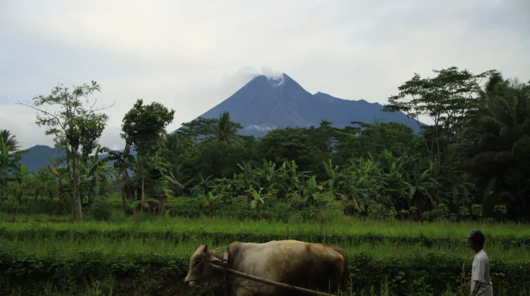 Wonderful Indonesia Sales Mission Targets Taiwan Travel Market