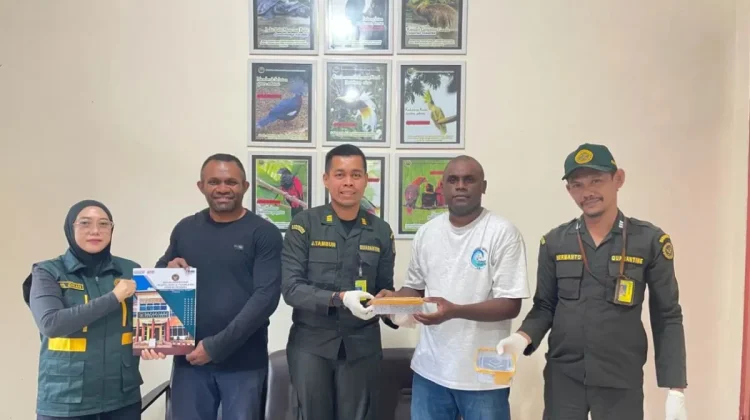 Central Papua Quarantine Seizes Illegal Death Adder Shipment