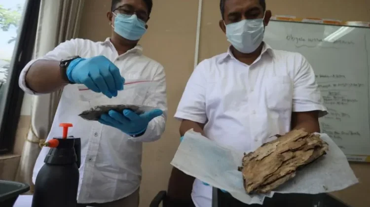 Manassa Aceh Restores 520 Ancient Manuscripts Damaged by Floods