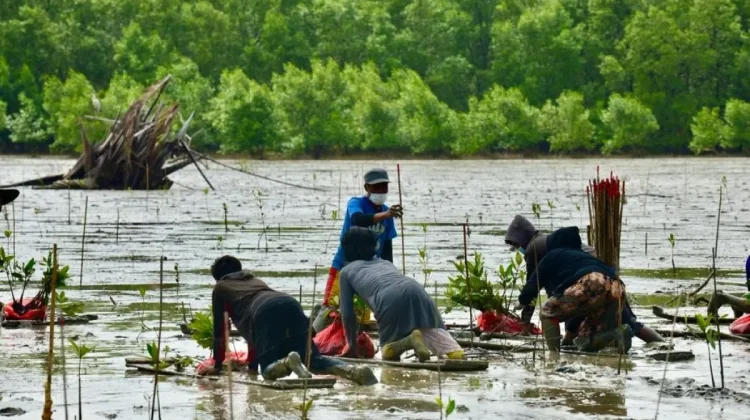 Riau Launches Green Initiative to Boost Climate Action