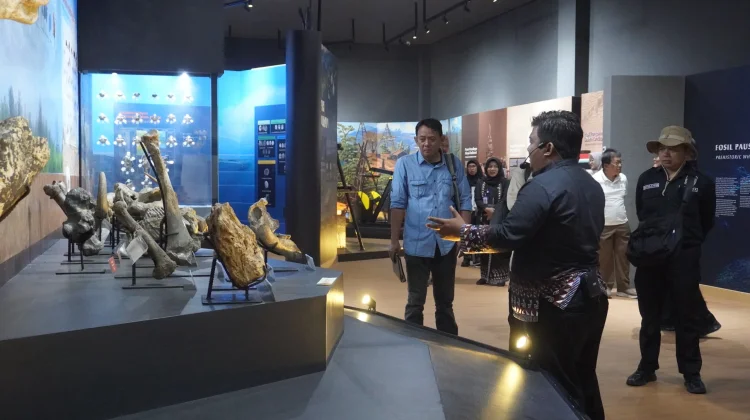 Bojonegoro Geopark Center Showcases Ancient Fossils
