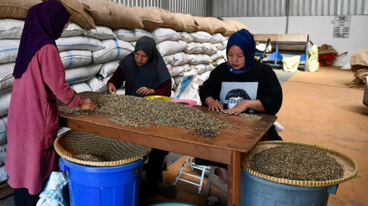 Indonesia Pushes Coffee Industry to Expand in Global Markets