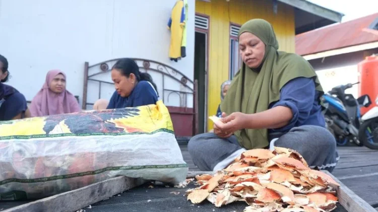 Indonesian Scientists Turn Crab Shell Waste into Battery Separators