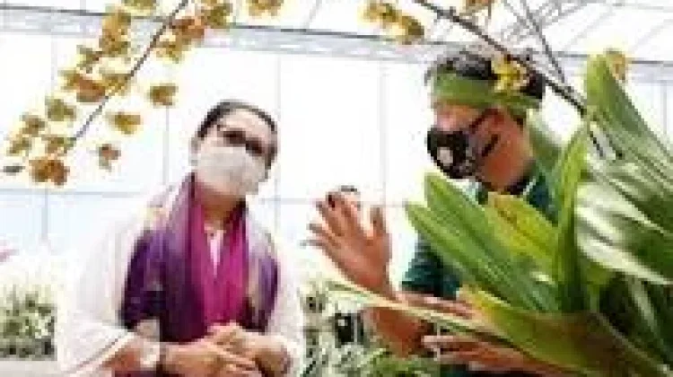 BKSDA Bali Supports Research and Development of Local Orchids