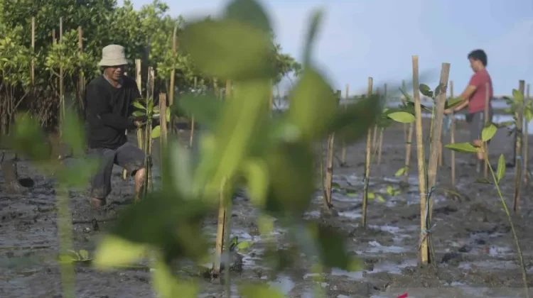 Bali Unveils Climate Assets and Seeks Carbon Investment at ICCBS 2026
