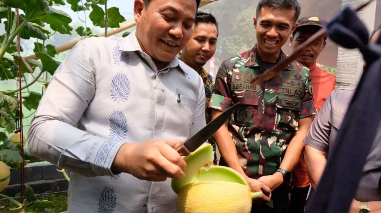 Village in Sidoarjo Launches Smart Farming Hydroponic Melon-Picking Eco-Tourism