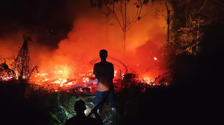BNPB Highlights Ongoing Forest and Land Fires, and Upstream‑Driven Flooding