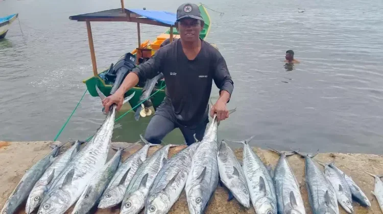 Indonesia’s Fishery Exports Hit USD 3 Billion in First Half of 2026