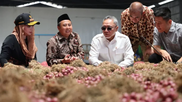 Indonesia Expands Shallot Exports From Brebes to Thailand
