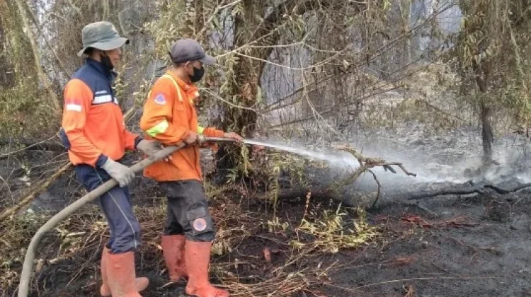 Indonesia Intensifies Forest Fire Control Amid Shifting Hotspot Trends