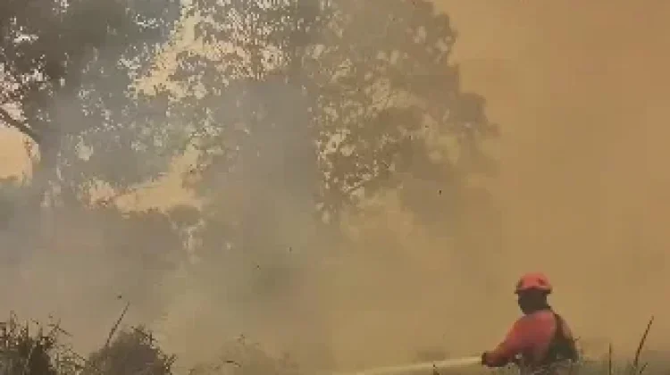 Flights to Kalimantan Delayed as Haze Covers the Island