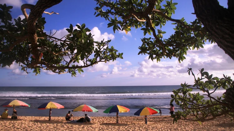 Gunungkidul Boosts Geotourism for 2027 UNESCO Revalidation