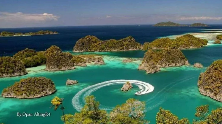 Indonesia Tightens Immigration Action Over Wildlife Violations