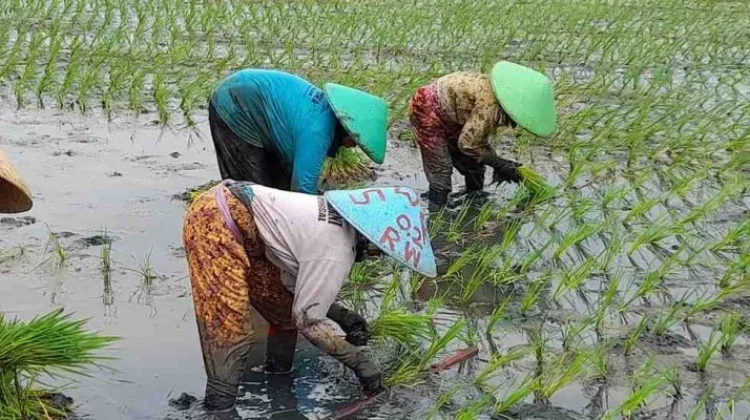 House Pushes New Bill to Address Structural Agrarian Conflicts