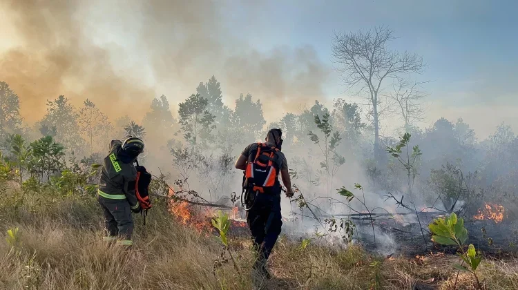 Malaysia Keeps Close Coordination with Indonesia on Haze Response