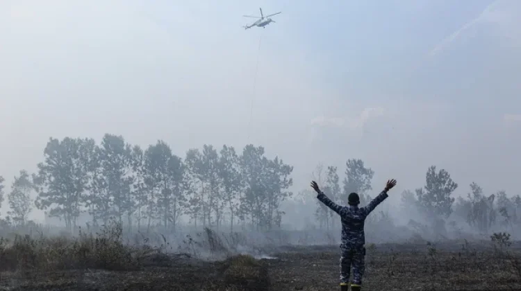 South Sumatra Emerges as Key Focus Despite Sharp Drop in National Hotspots