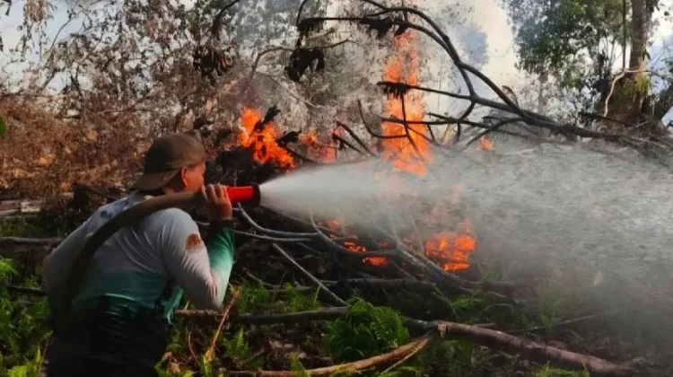 ASEAN Coordination Helps Indonesia Address Regional Haze Impact