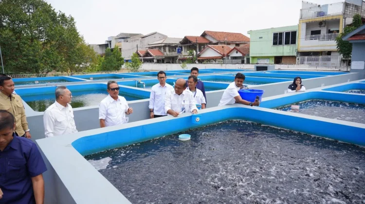 Indonesia Builds Village Fisheries Economy With Mini RAS Program