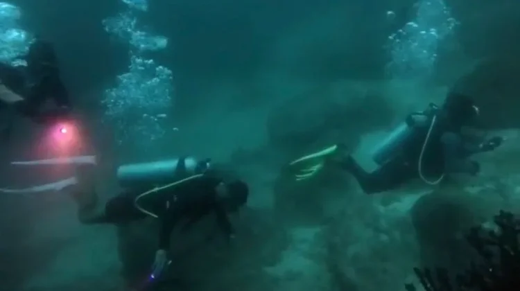 Seven-Day Search Ends as Missing Malaysian Diver Remains Unfound