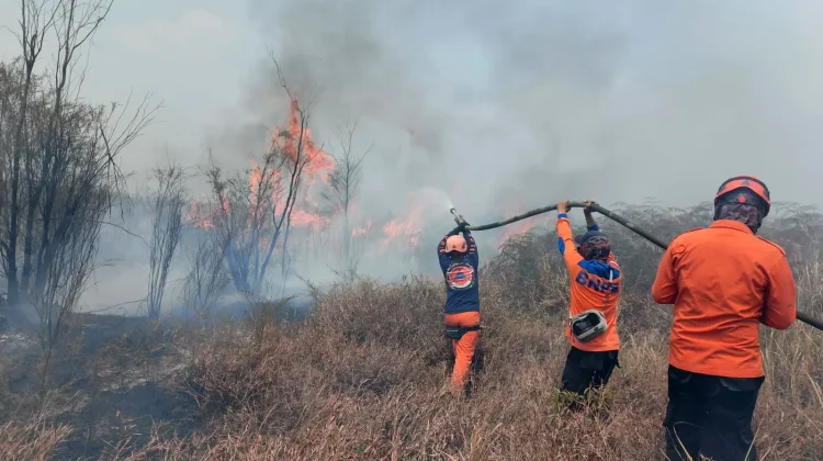 Indonesia Expands Forest and Land Fire Prevention Through Fire-Free Land Clearing